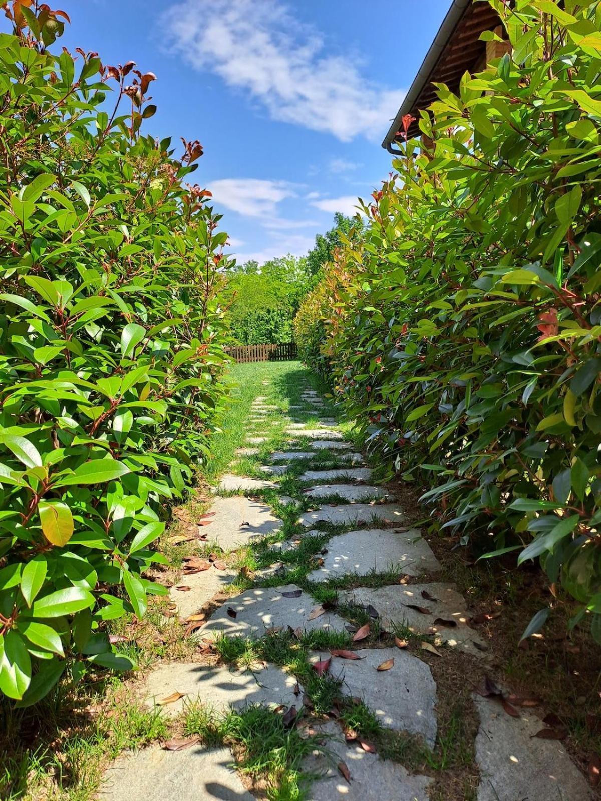 Agriturismo Il Bagnano تْشيرتالدو المظهر الخارجي الصورة